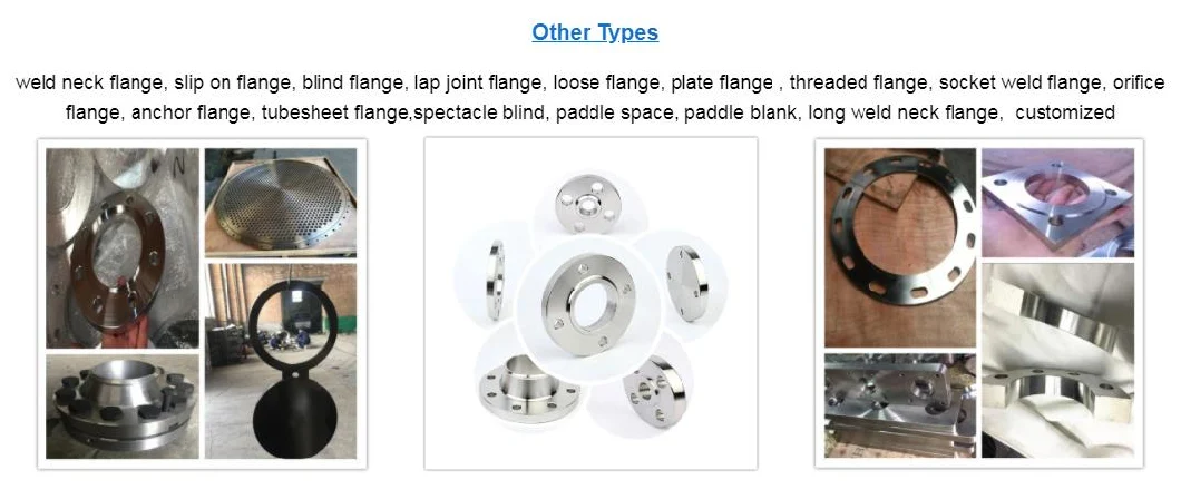 Stainless Steel Titanium Flange Socket Weld Flange Slip on Weld Neck Plate Blind Flange