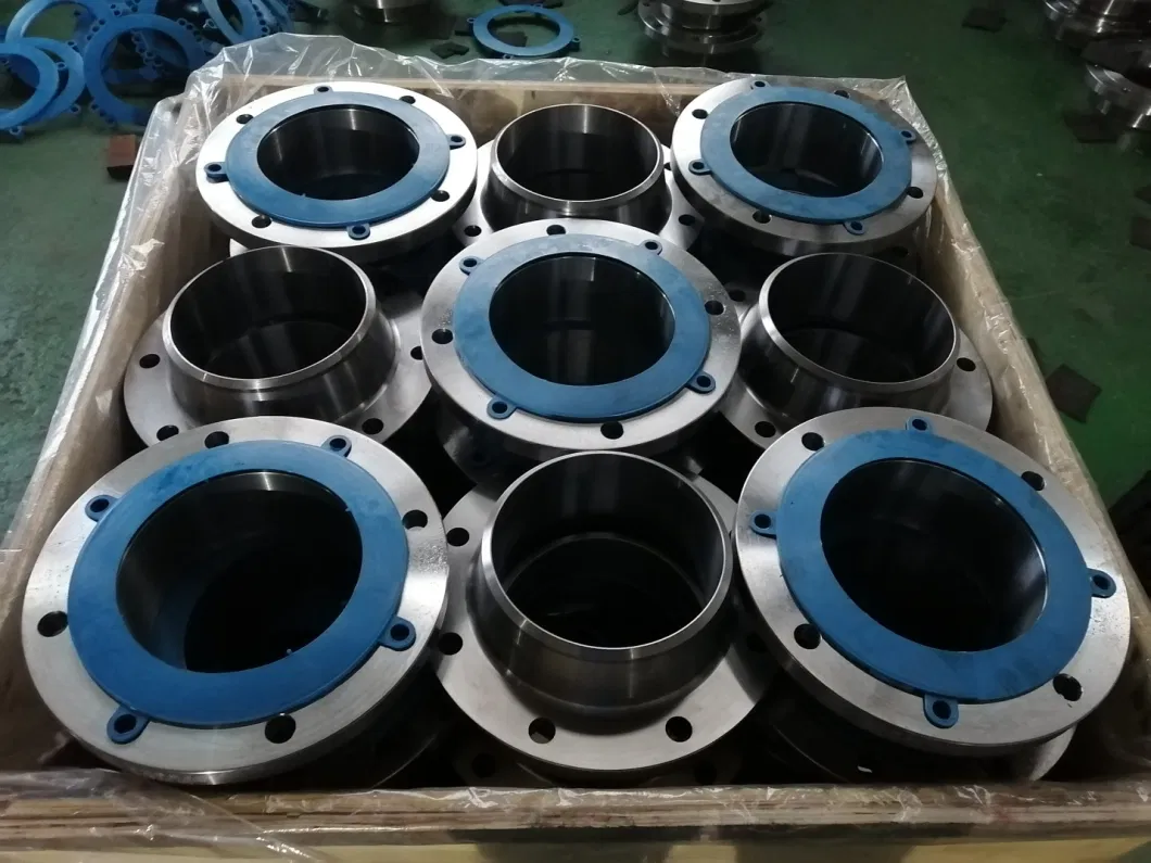 Hot Forged Steel/ Stainless Steel/Titanium/Monel 400 Flanges